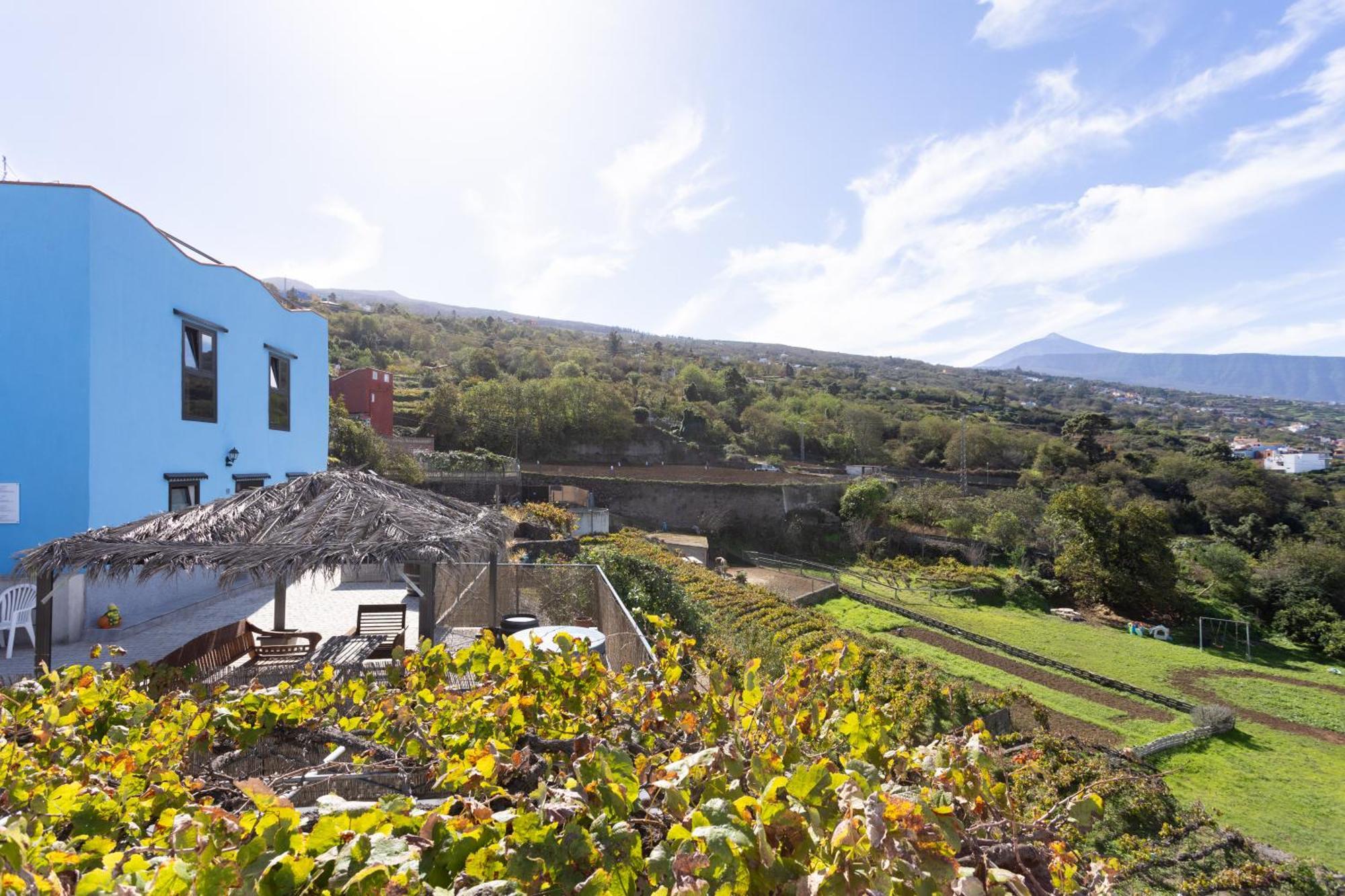 Ek Drago Finca El Milagro La Orotava Kültér fotó