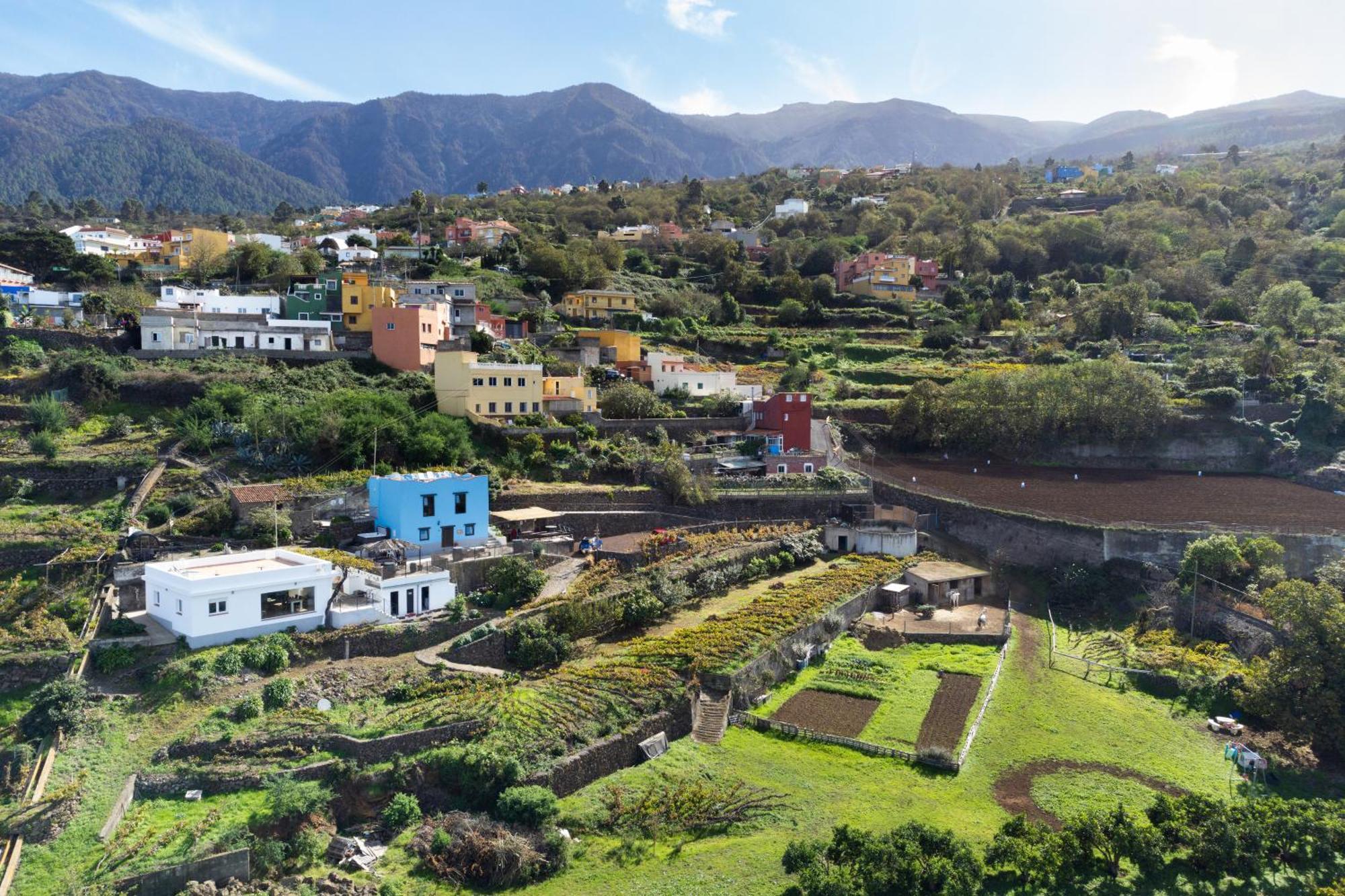 Ek Drago Finca El Milagro La Orotava Kültér fotó
