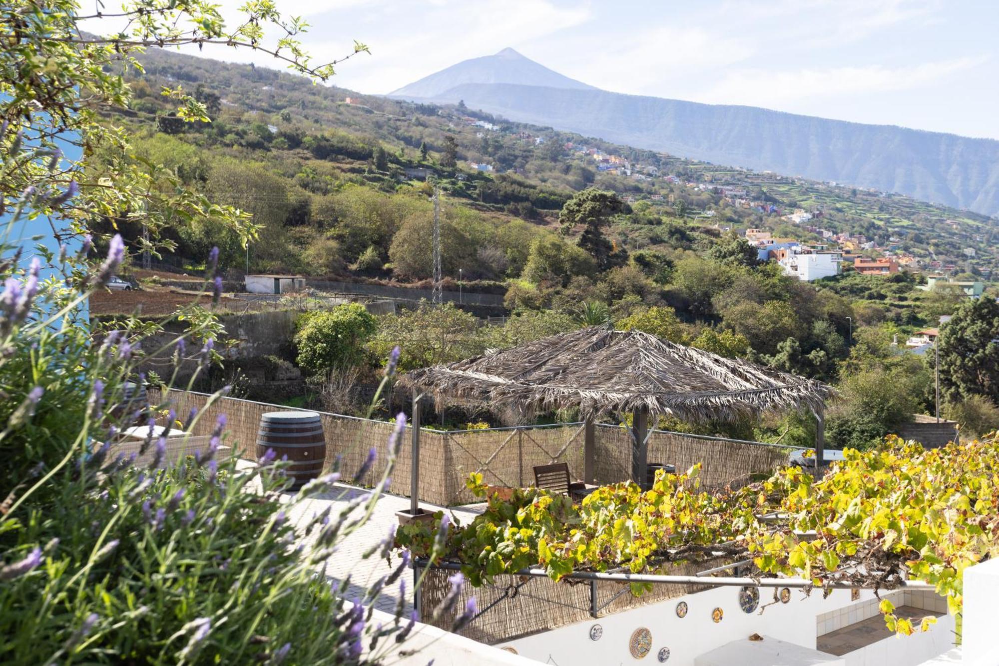 Ek Drago Finca El Milagro La Orotava Kültér fotó