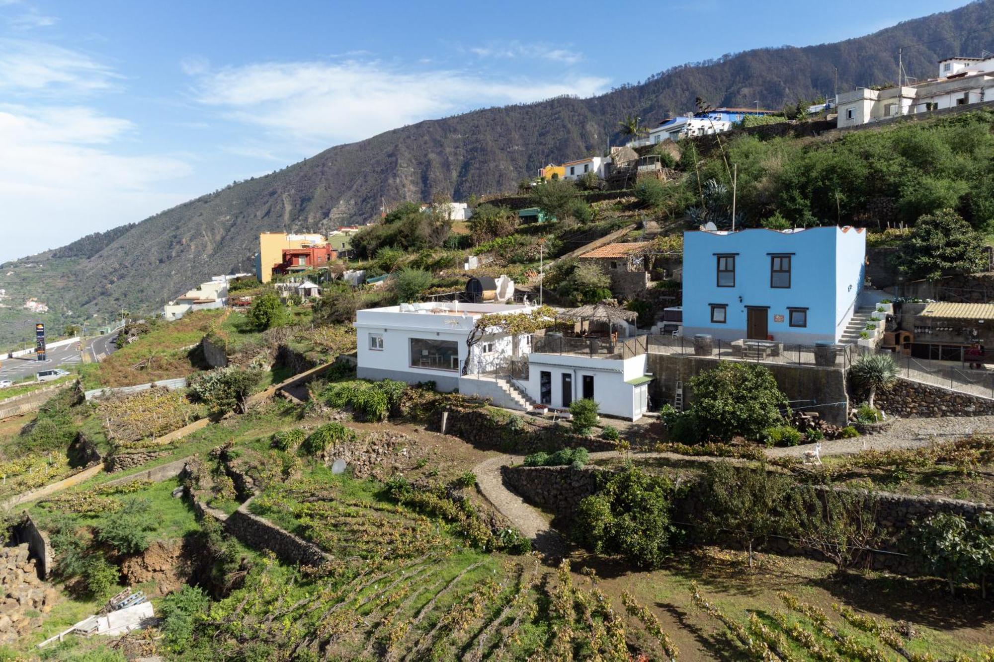 Ek Drago Finca El Milagro La Orotava Kültér fotó