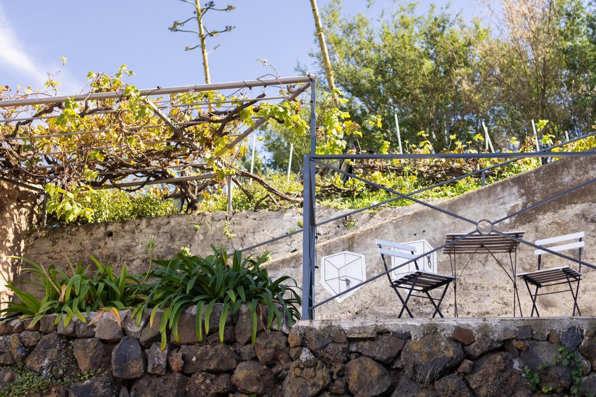 Ek Drago Finca El Milagro La Orotava Kültér fotó