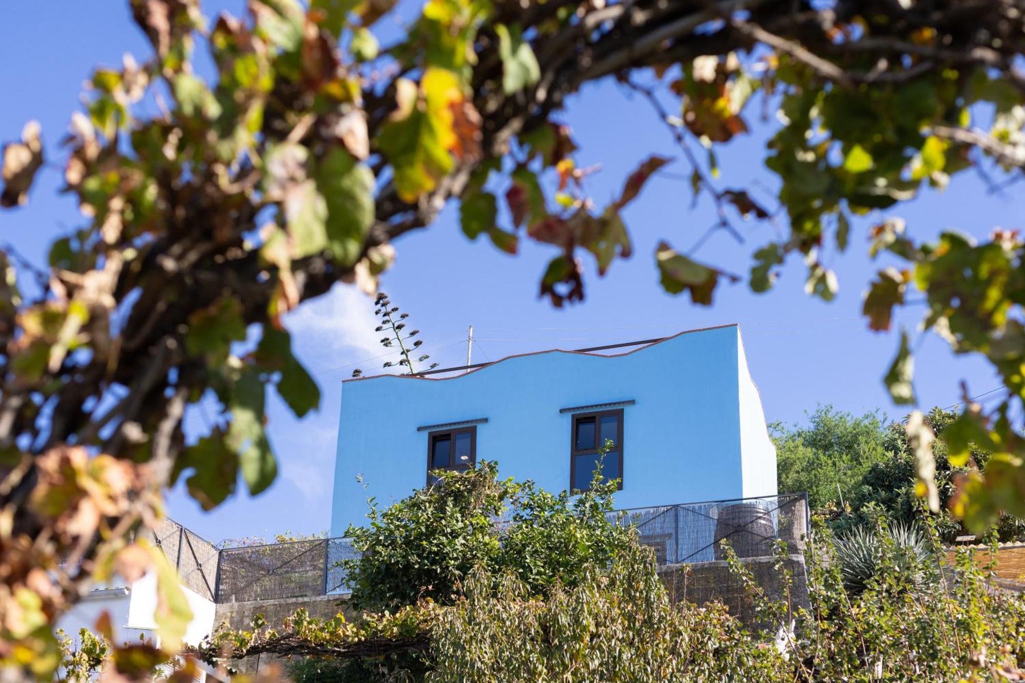 Ek Drago Finca El Milagro La Orotava Kültér fotó